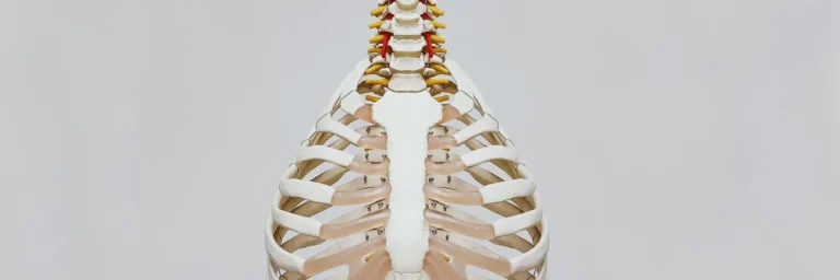 6b0b98851646b9abe2fe3977daad4ec8-3840x2550x0x634x3840x1280x1745154792