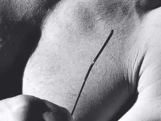 {{brizy_dc_image_alt entityId=